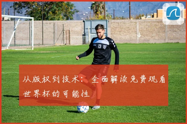 从版权到技术：全面解读免费观看世界杯的可能性